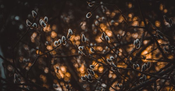 Transition écologique : pourquoi agir dès maintenant